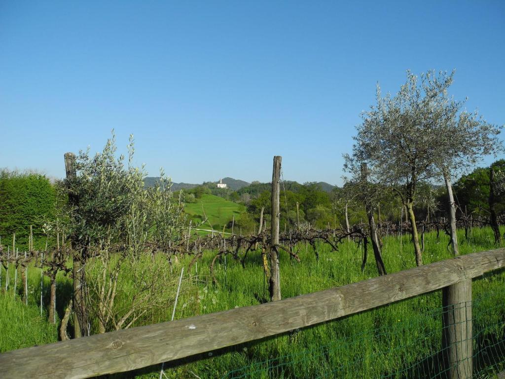 Willa Agriturismo Cornolere Castelcucco Zewnętrze zdjęcie